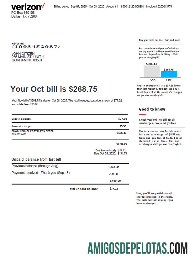 Em branco modelo de fatura de serviços públicos da Verizon dos EUA em formatos Word e PDF, versão 3
